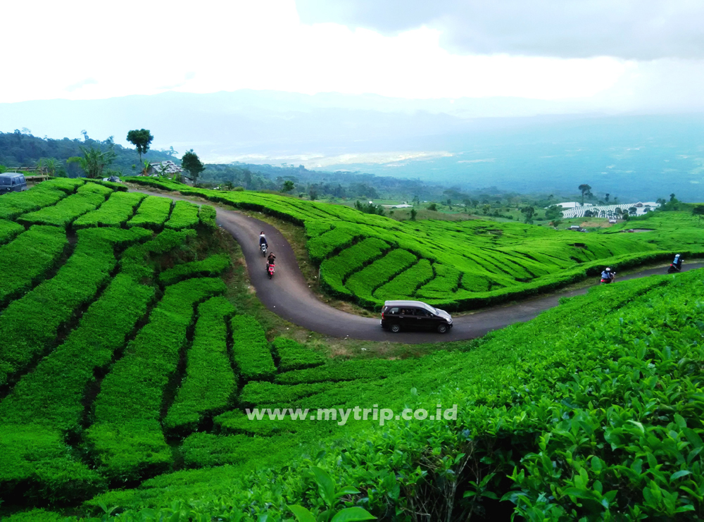 ITINERARY EKSPLOR PAGAR ALAM (SUMATERA SELATAN) 4 HARI